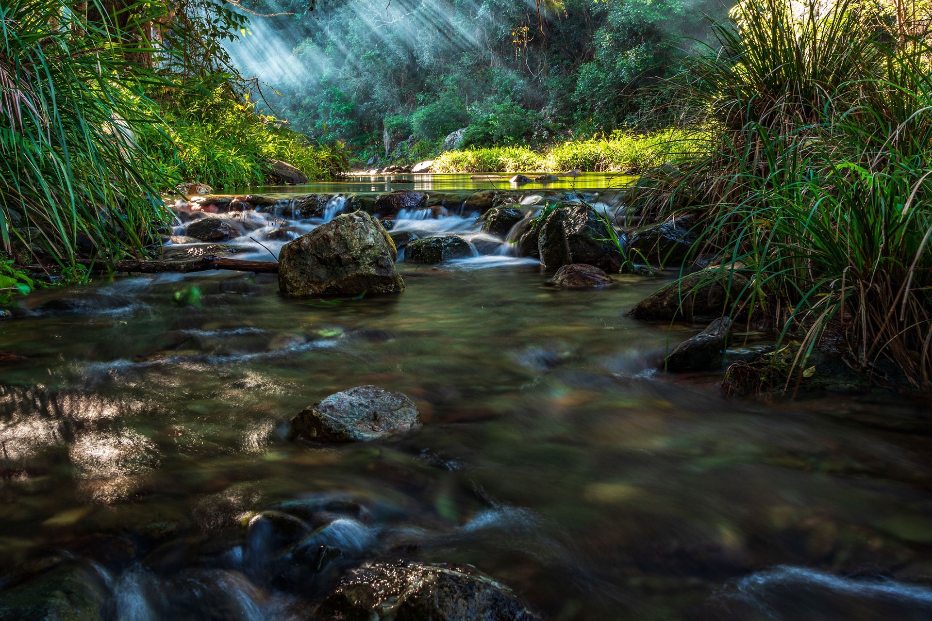 Traveling to Nambour and the Hinterland