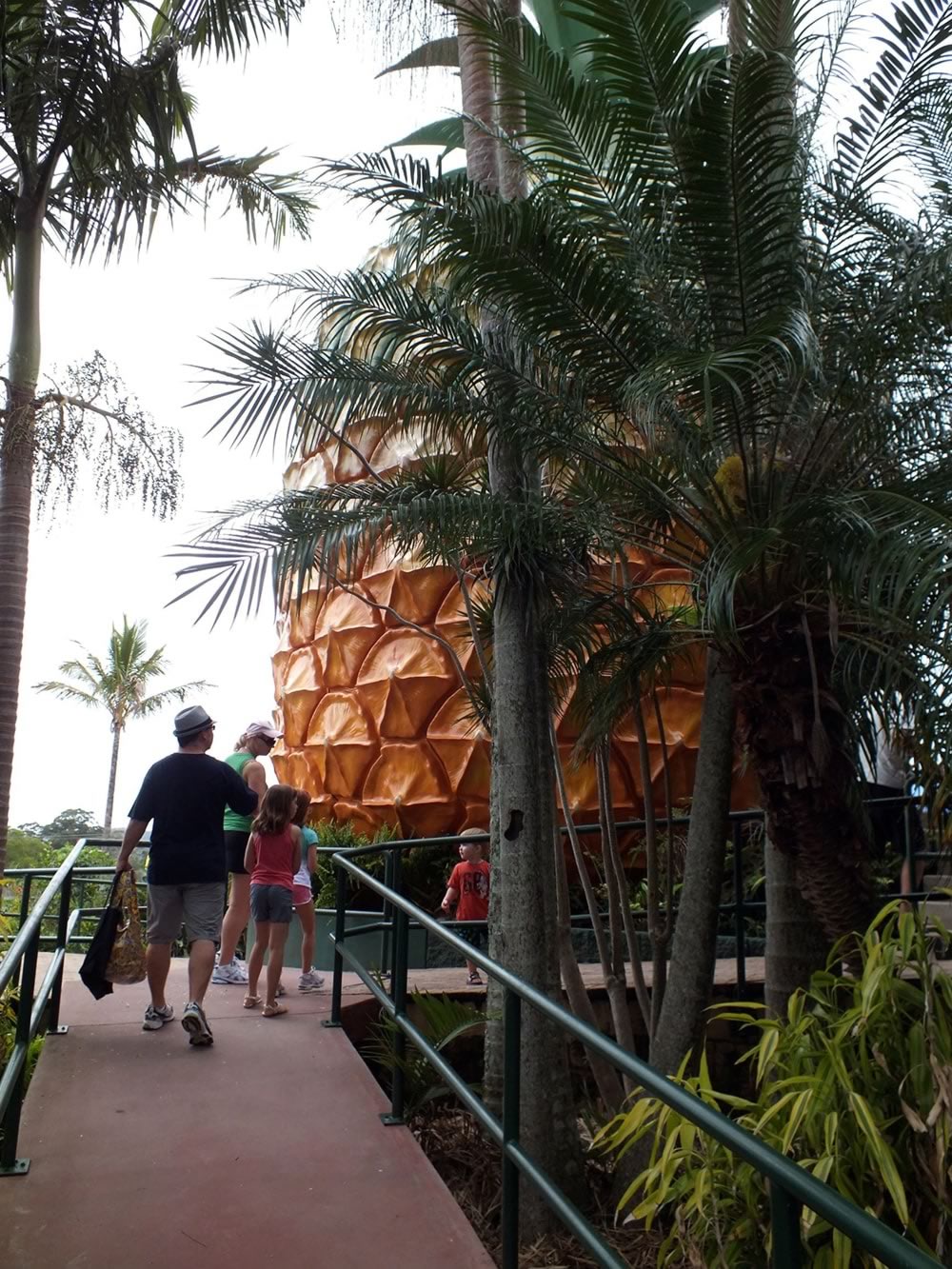 Big Pineapple tourist attraction in Nambour